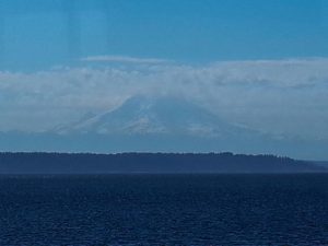 マウントレーニアは7月でもすっぽり雪に覆われている。ピージェット湾のフェリーから望む。