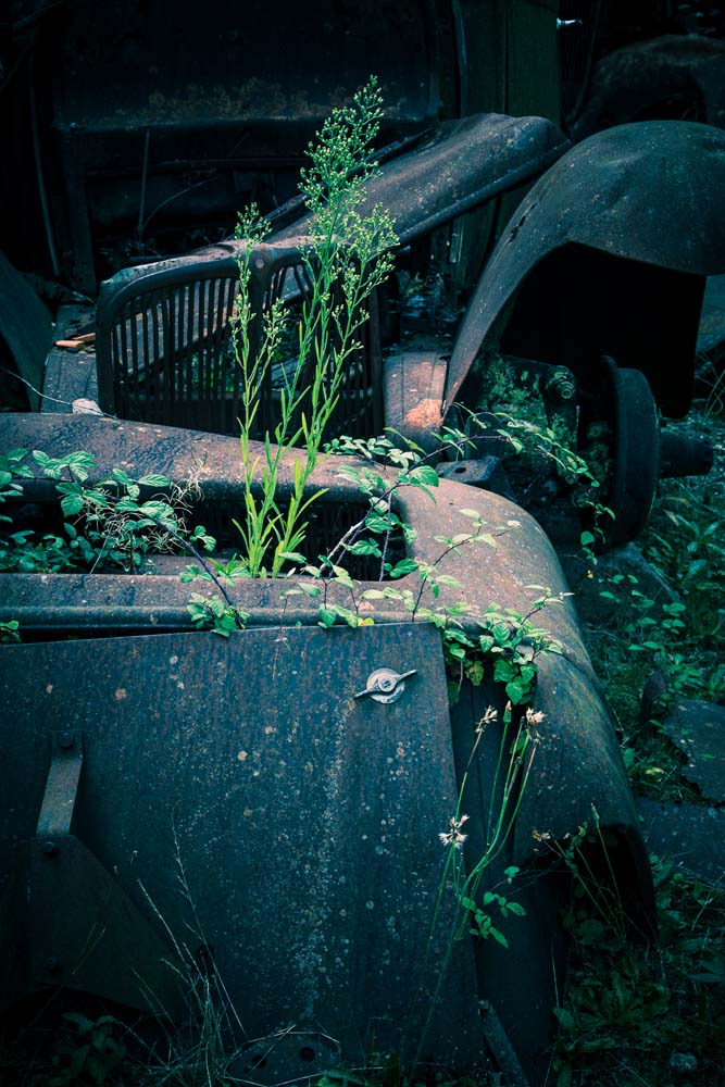 オラドゥール=シュル=グラヌの車から伸びる雑草