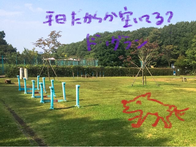 ドッグランのひろば
