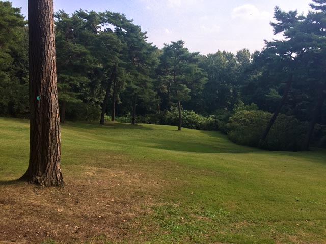 たまに開ける視界