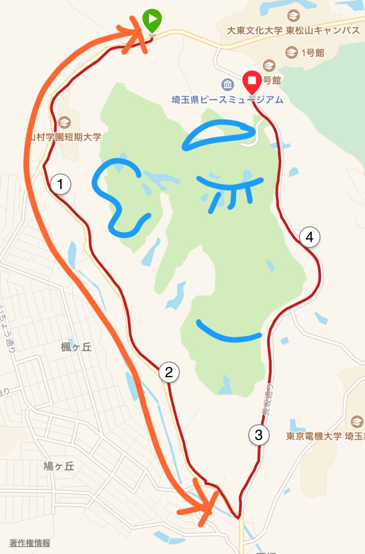 後頭部が単調な坂